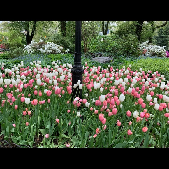 Meet your Posher, Irina - Picture 1 of 1